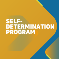 Community Feedback Shapes New Standards for Financial Management Services in SDP