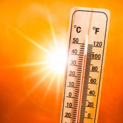 Are You Ready for Summer? Check Out These Tips to Stay Safe This Season.
